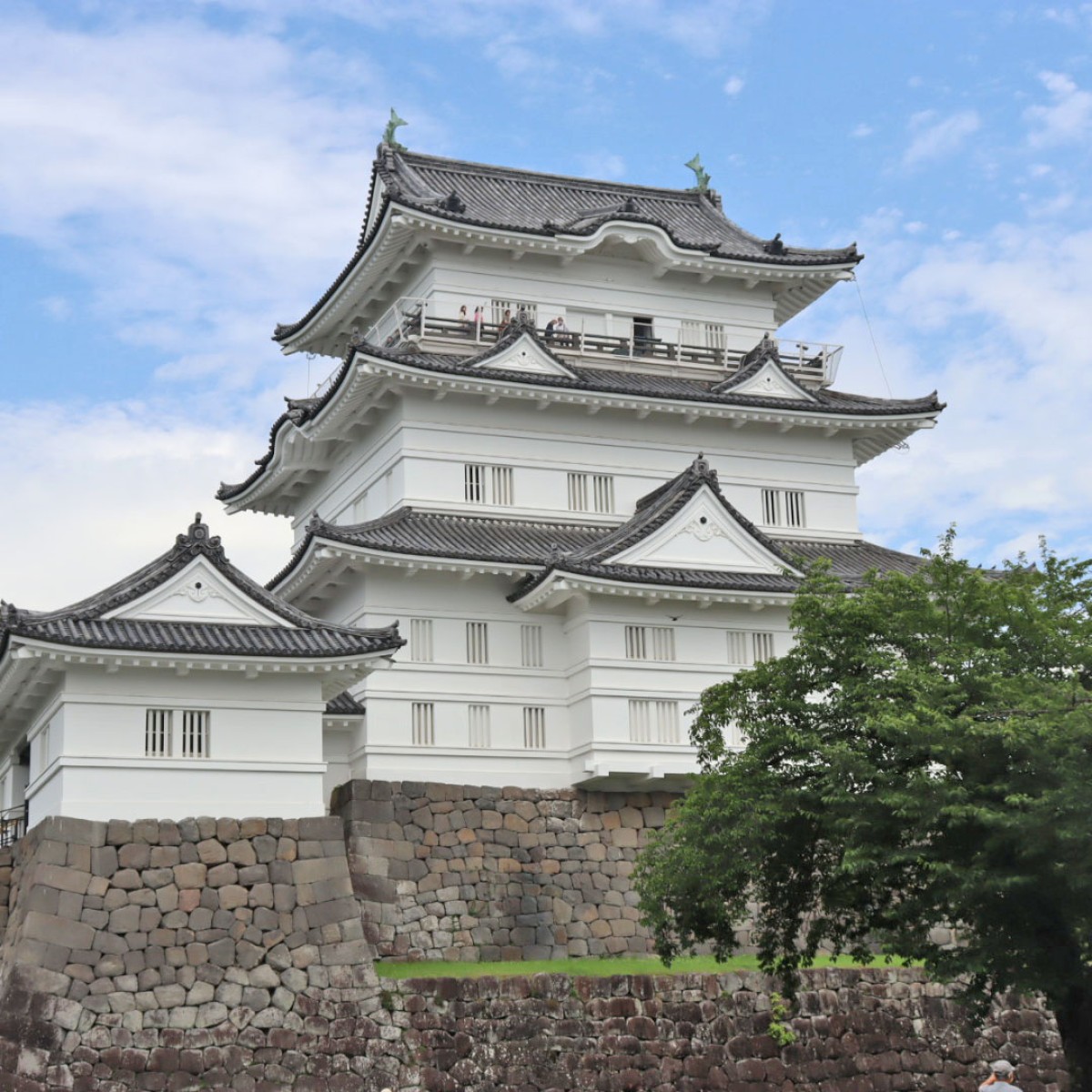从历史古迹到海鲜美食、当地特色甜品,一日畅游小田原的推荐路线!