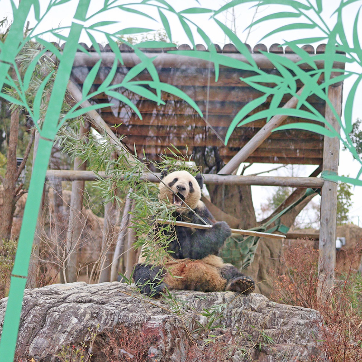 迷ったらここ!「上野公園」目的別おすすめスポット